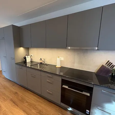 Alpine Loft 公寓 因特拉肯