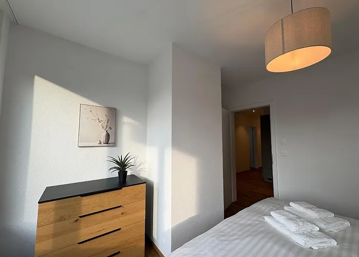 Alpine Loft 因特拉肯