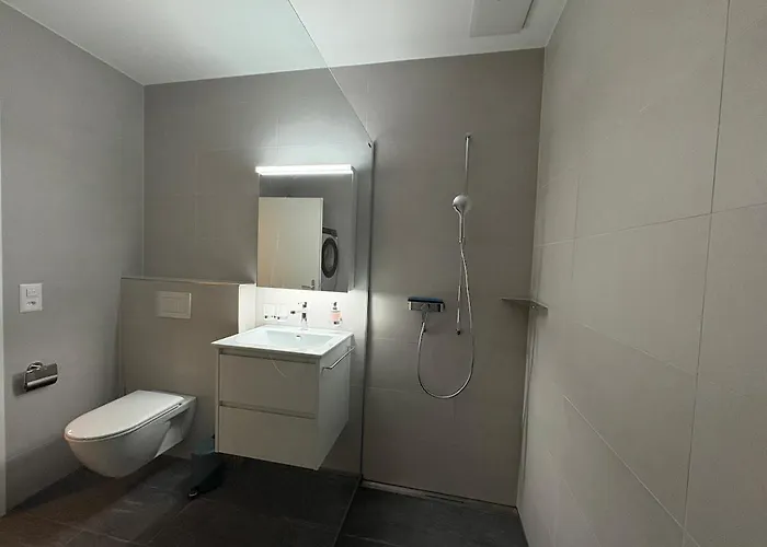 公寓 Alpine Loft *