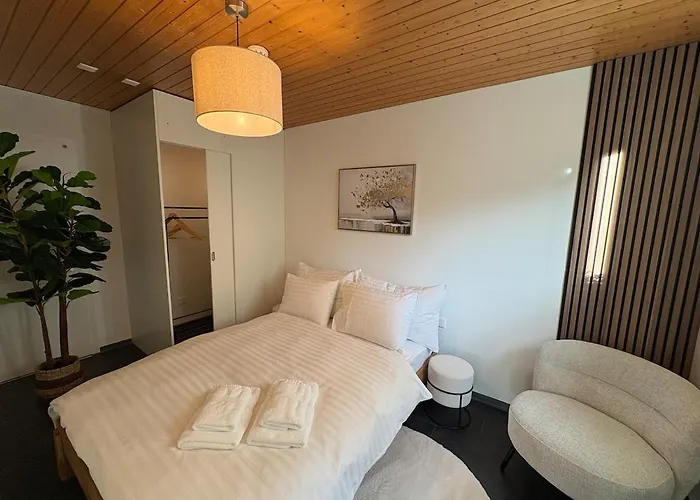 Alpine Loft 公寓 因特拉肯