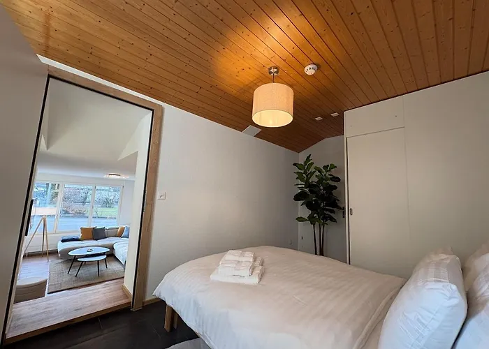 Alpine Loft 公寓 因特拉肯