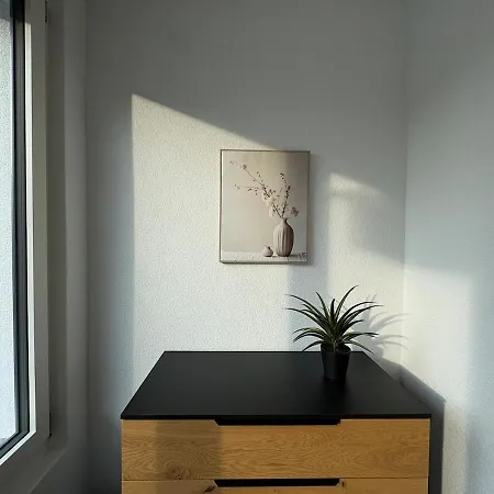 Alpine Loft 인터라켄