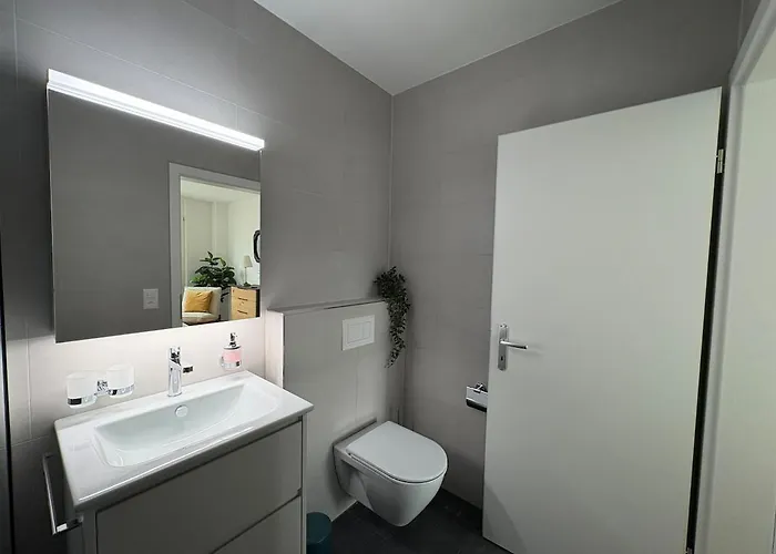 アパート Alpine Loft