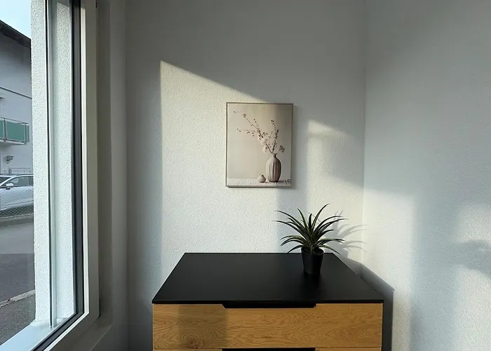 Alpine Loft インターラーケン